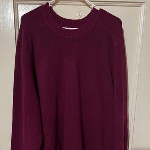 Purple Gap Sweater